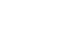 guy birenbaum logo guy birenbaum logo