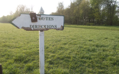 Le grand remplacement
